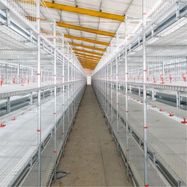  Automated Three-dimensional Broiler Cage System