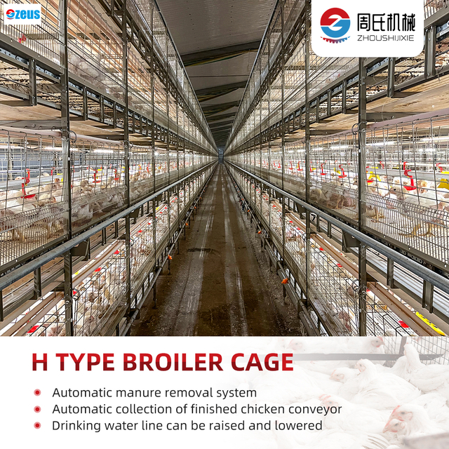 H-type Automated Stacking Broiler Cage That Can Automatically Collect Finished Chickens