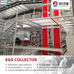 8-layer chicken farm automatic egg collection system