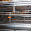 Large Stacked Laying Hen Breeding Cage