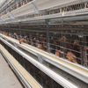 Stacked Layer Automatic Breeding Cage