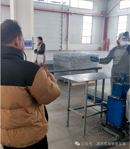 Breeder Chicken Cage System Manufacturer.jpg