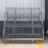  A-type Ladder Layer Chicken Breeding Equipment