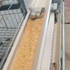  Stacked Broiler Cage System