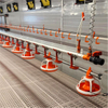 Automated Poultry Floor Raising Equipment