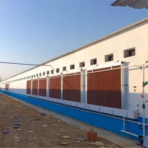 Livestock and Poultry Cooling System Honeycomb Evaporative Cooling Pad