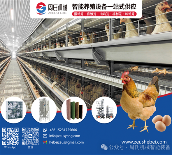 Zeus Machinery Cordially Invites You To The 7th Beijing-Tianjin-Hebei Egg Chicken Industry Chain Ecosystem Development Conference!