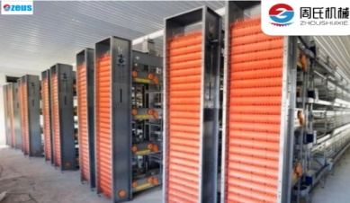 The Growing Popularity of Automatic Egg Collecting Systems in Poultry Farms