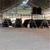  A-type Ladder Layer Chicken Breeding Equipment