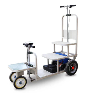 Ladder lift electric inspection and observation vehicle suitable for cascading cages