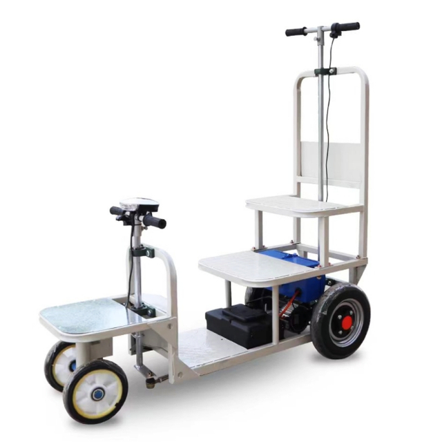 Ladder lift electric inspection and observation vehicle suitable for cascading cages