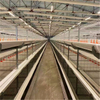  Automated Three-dimensional Broiler Cage System