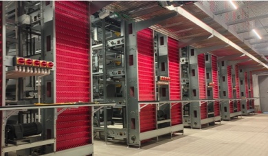 Maximizing Chick Health And Survival: The Role of Brooding Cage Equipment