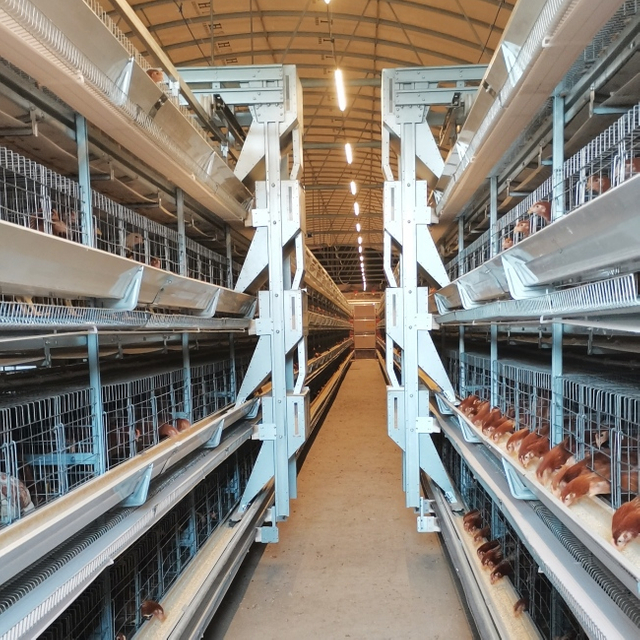 Broiler Stacked Cage