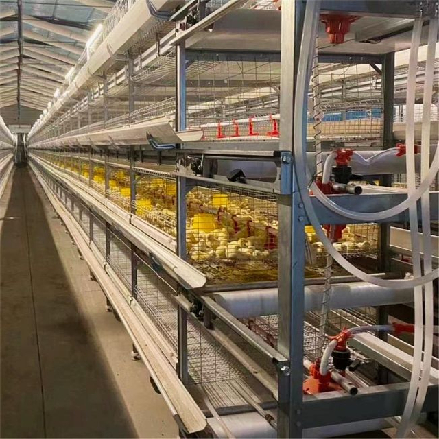 Broiler Cascading Cage