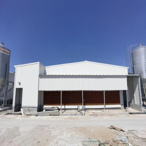 Prefabricated livestock farm steel structure house