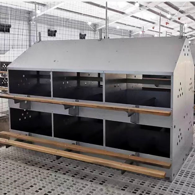 Egg Processing and Storage Area