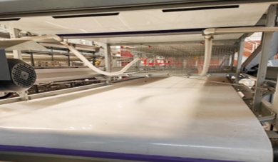 Space Optimization in Poultry Farms: The Advantages of Stacked Cage Equipment