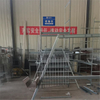 Automated ladder layer chicken breeding cage equipment