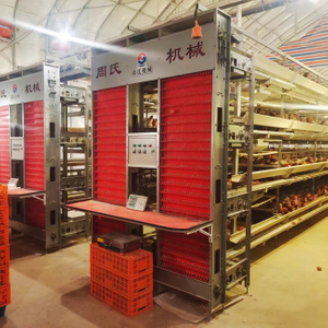 Broiler Raising Equipment