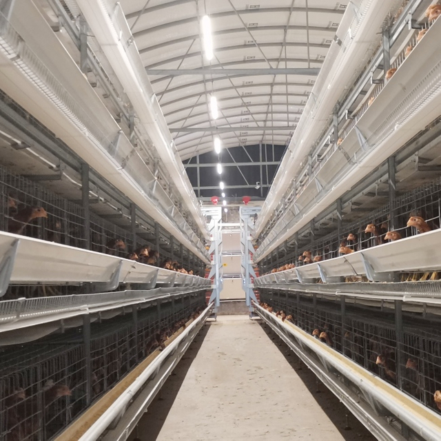 Stacked Layer Automatic Breeding Cage