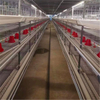 10,000-30,000 small stacked laying hens breeding equipment