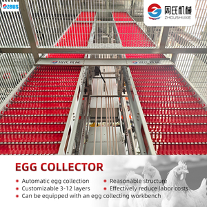 12-layer laying hen cage fully automatic central egg collection line