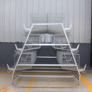 Hot-dip Galvanized A-type 4-layer Ladder Laying Hen Cage