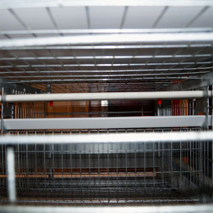 Layer And Hen Raising Cage Equipment