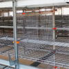 10,000-30,000 small stacked laying hens breeding equipment