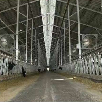 Cattle House Steel Structure