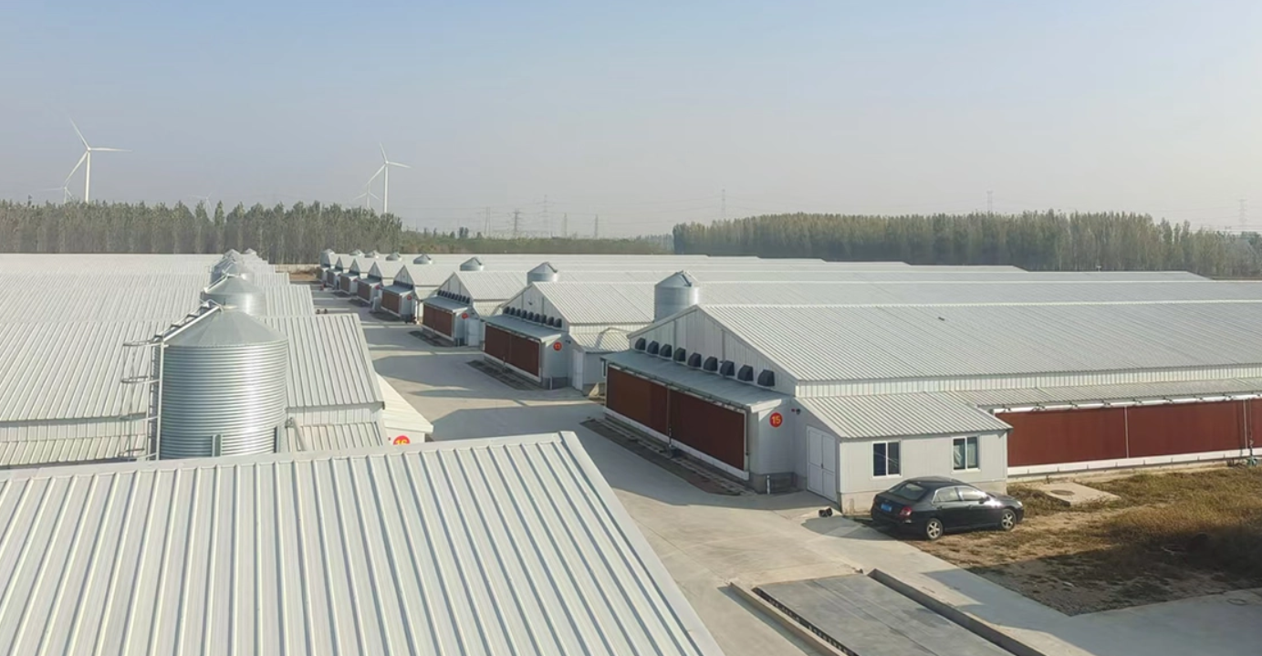 modern chicken house.png