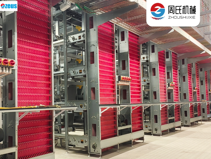 Profitable Chicken Poultry Business in the Philippines: Modern Cage Design & ROI