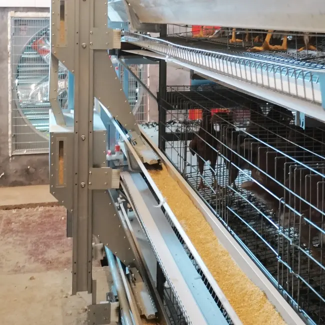 layer battery cage.png