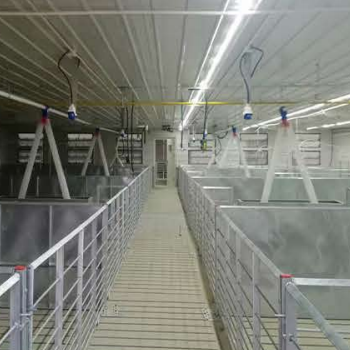 Steel Structure Pig House