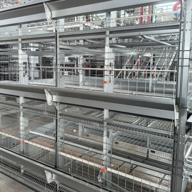 Breeder Chicken Cage System